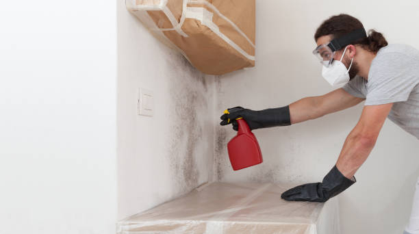 Professional Mold Testing technician working in Marriottsville, MD