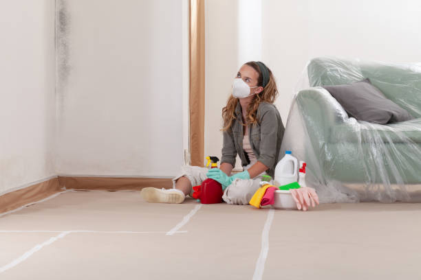 Reliable Mold Testing contractor in Marriottsville, MD by WQB Mold Removal
