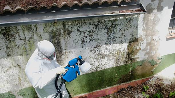Top rated local Mold Testing specialists in Marriottsville, MD